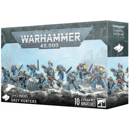 SPACE WOLVES: GREY HUNTERS (Release 2025-07-12)