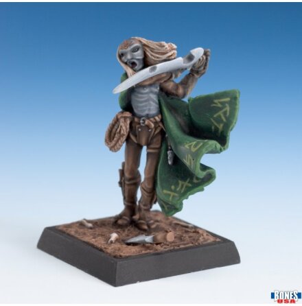 Dark Elf Assassin