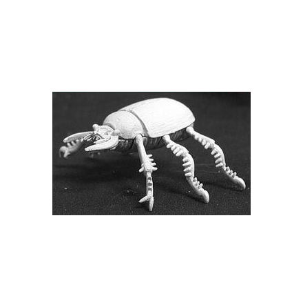Giant Scarab Beetle