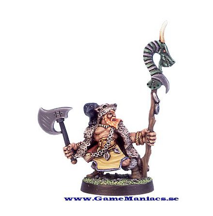 RAGNAR THE RUNECASTER (1 figur per frpackning)