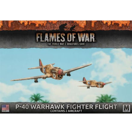 P40 Warhawk Fighter Flight (2x)