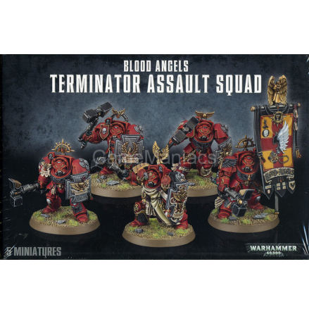 BLOOD ANGELS: TERMINATOR ASSAULT SQUAD