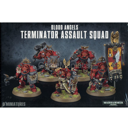 BLOOD ANGELS TERMINATOR ASSAULT SQUAD