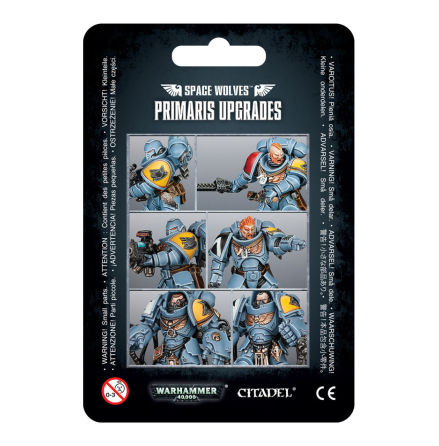 SPACE WOLVES PRIMARIS UPGRADES