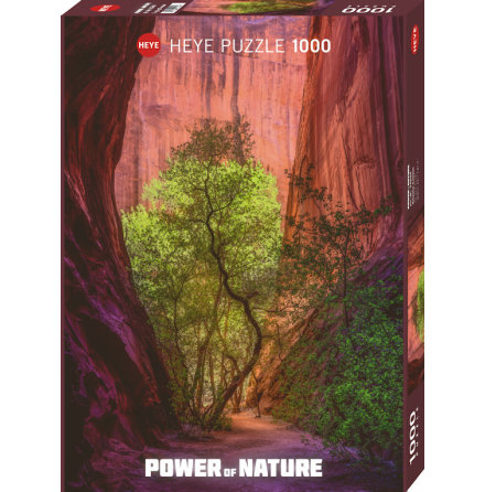 Power of Nature: Singing Canyon (1000 pieces)