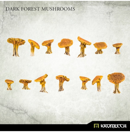 Dark Forest Mushrooms