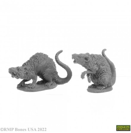 BARROW RATS (2) (R-07035)