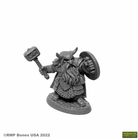 BORIN IRONBROW, DWARF