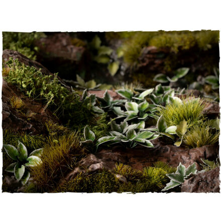 GamersGrass laser plants - Plantain Lily