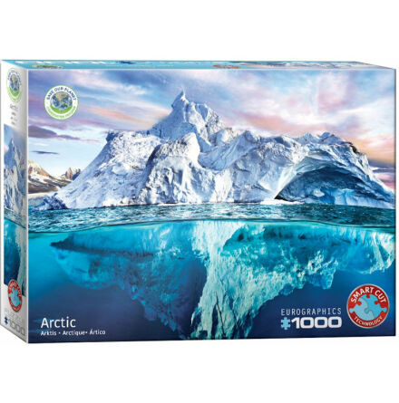 Puzzle - Arctic (1000 pieces)