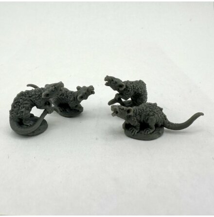 GIANT RATS (2)